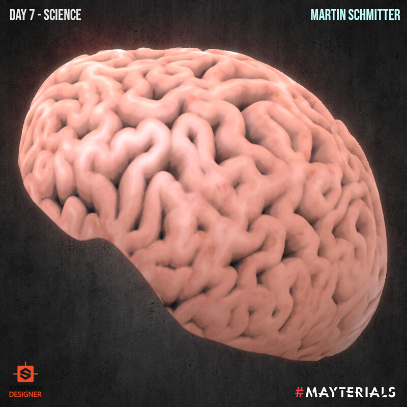 Mayterials 2021 - Day 7 Science (Stylized "Handpainted" Brain)