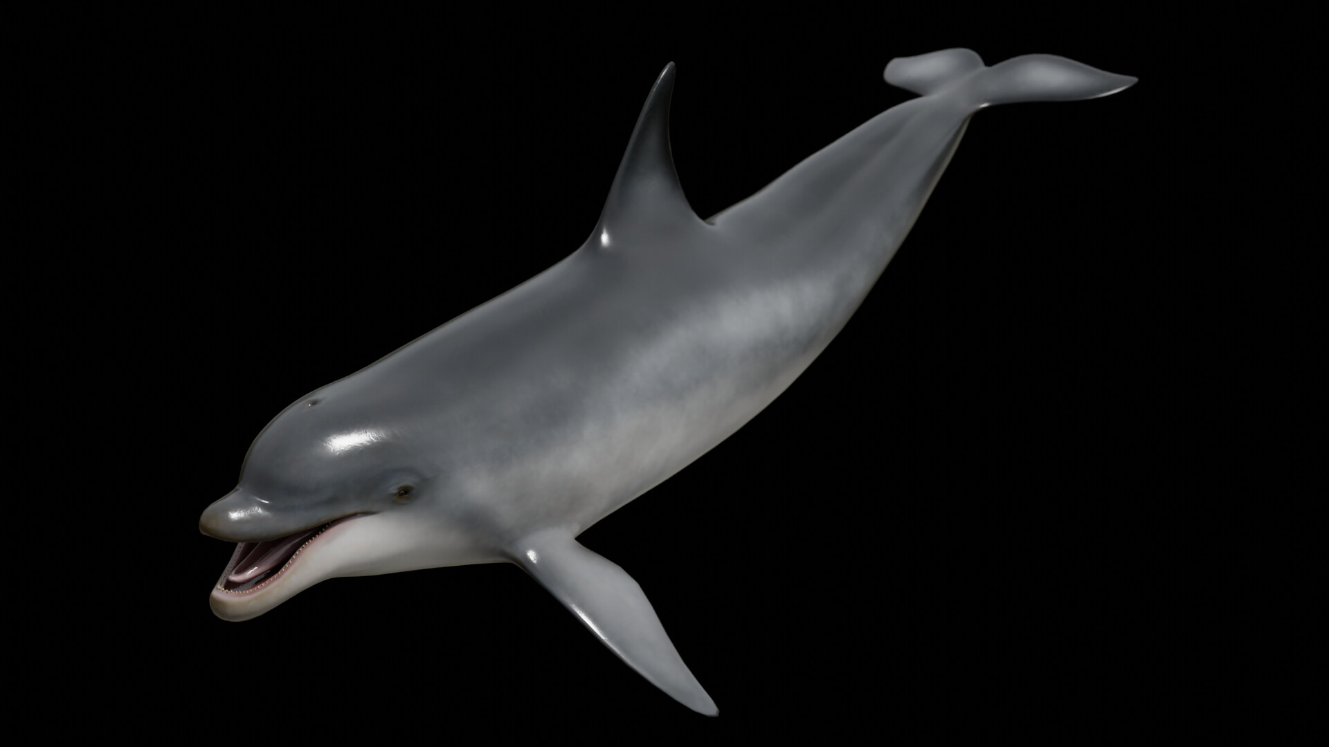 dolphin imaging training youtube dolphin imaging training youtube