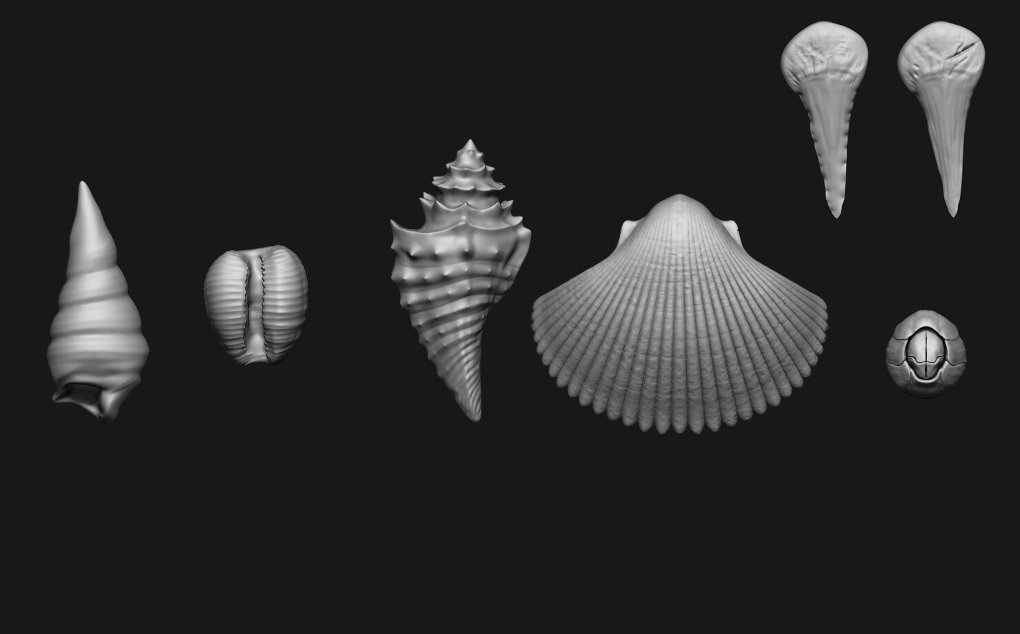 Shells, Barnacles, and Teeth HP