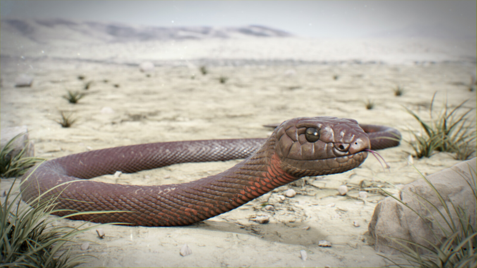 Final render.