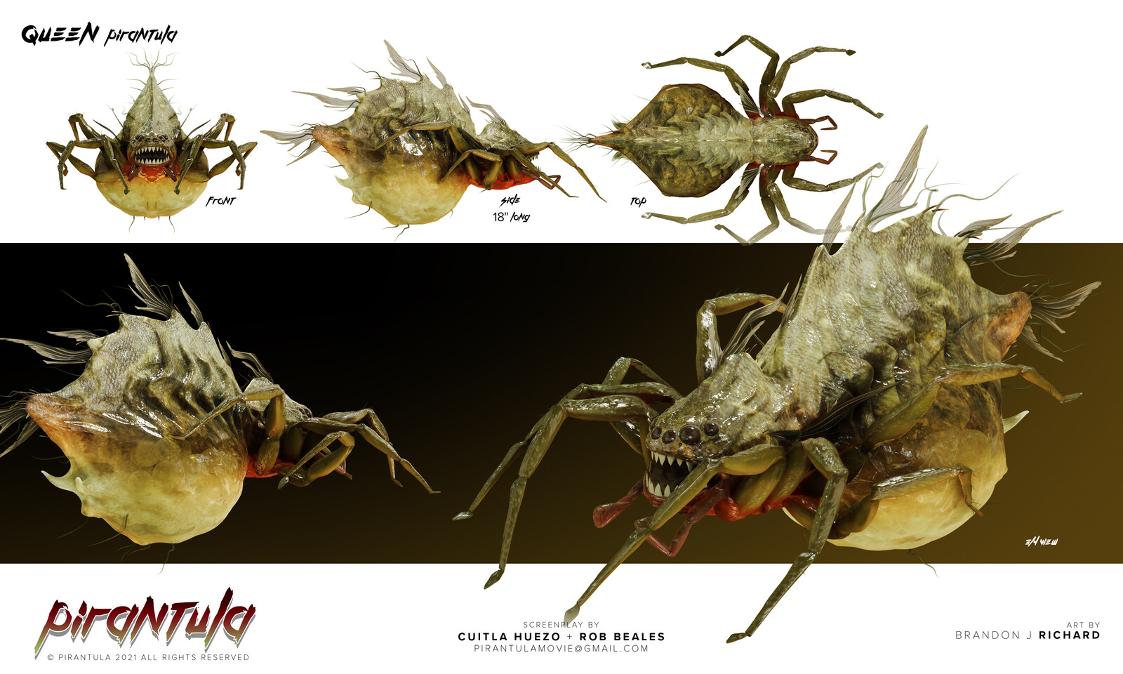 Design sheet
