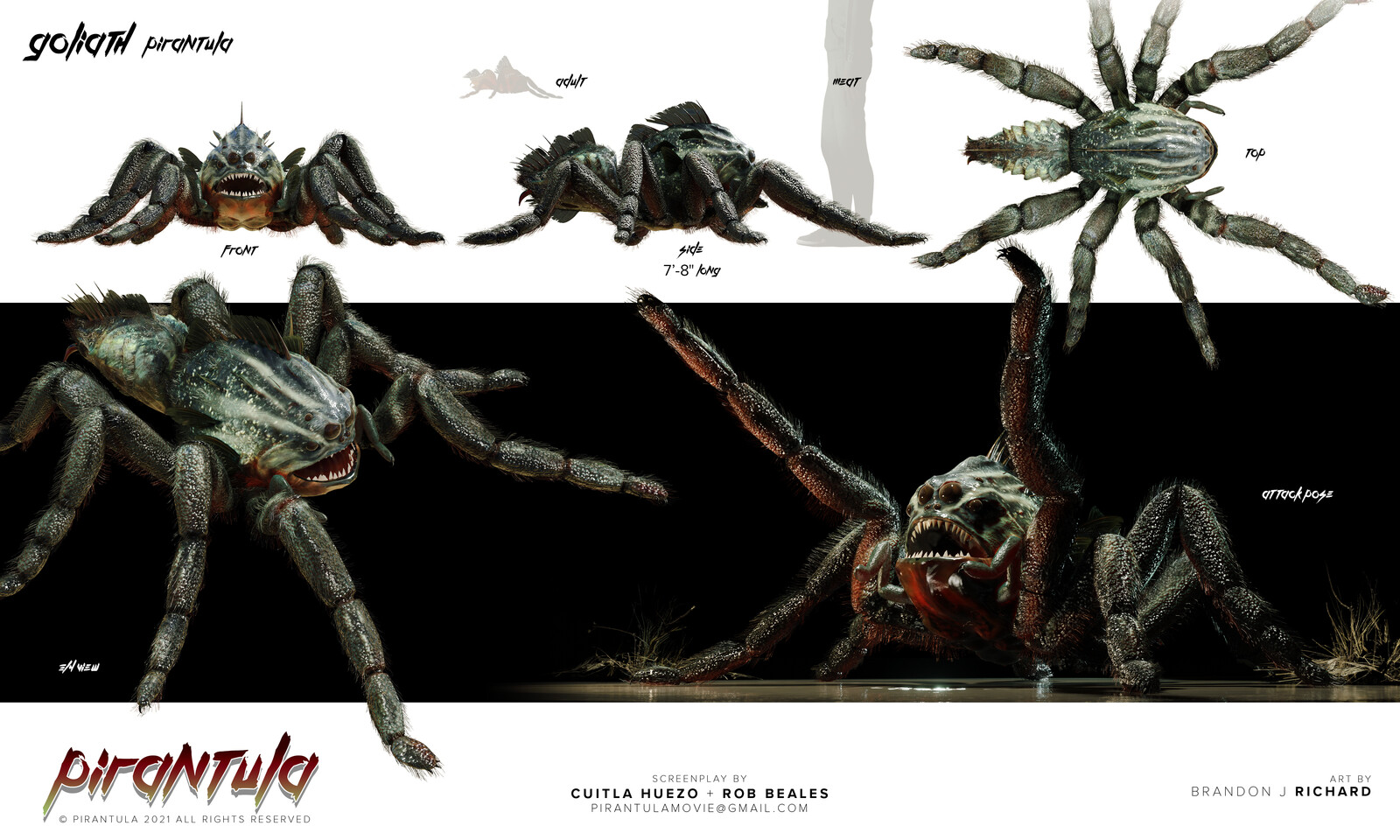 Design Sheet
