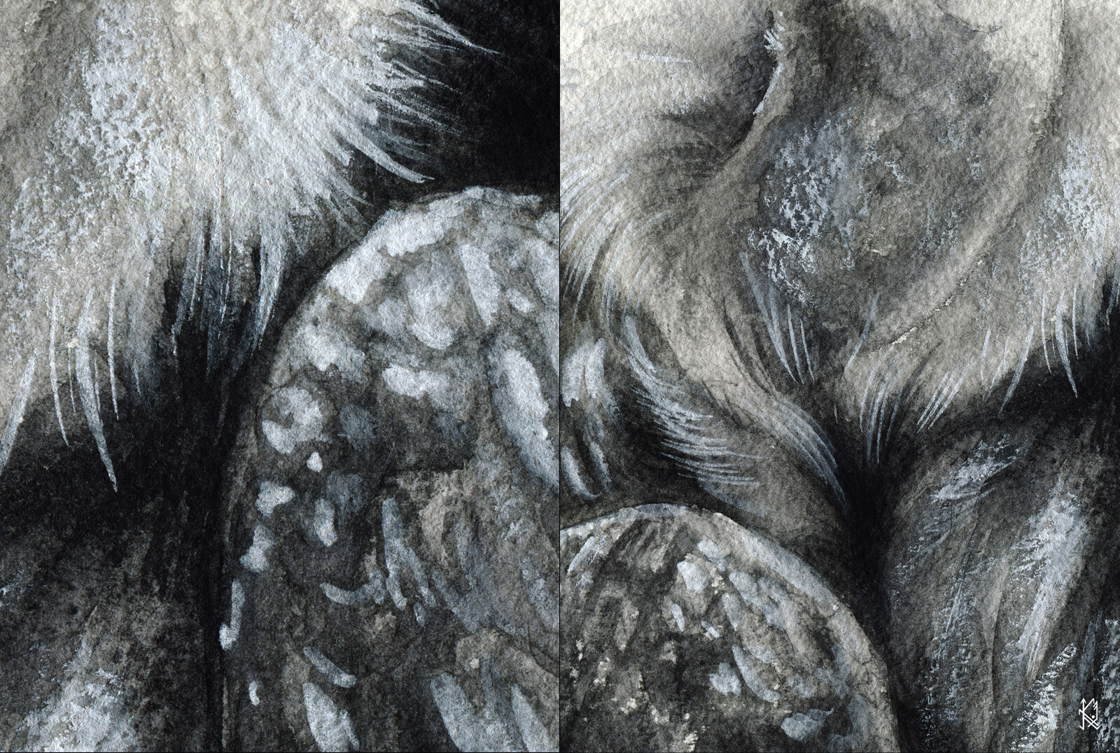 Detail &amp; Texture