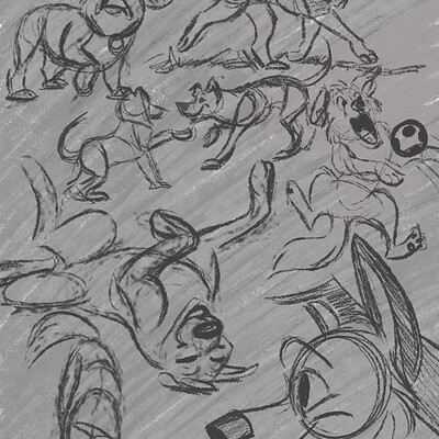Lots Of Dogs