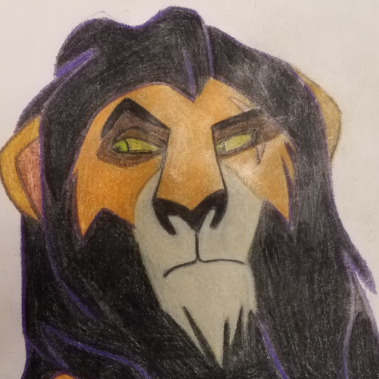 Scar sketch