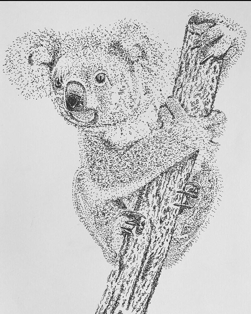 ArtStation - Koala Dot Art