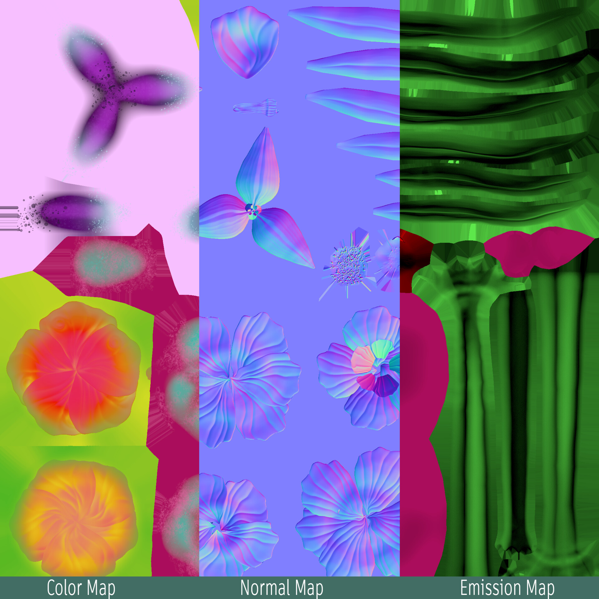 Atlas for the Flowers