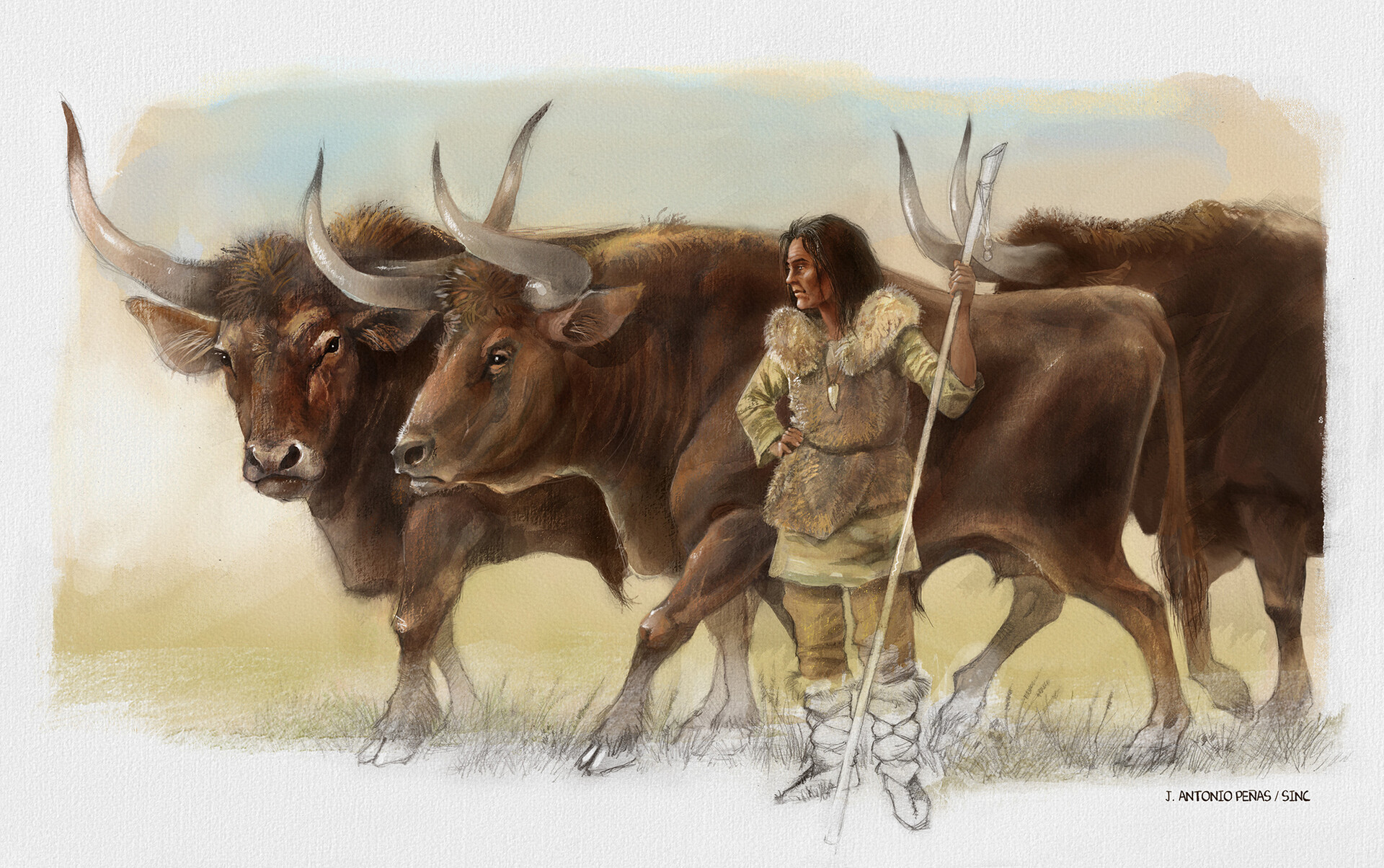 Уроки приручения часть 2. Одомашнивание коровы. Древняя корова. Коровы в древности. Скотоводство в древности.