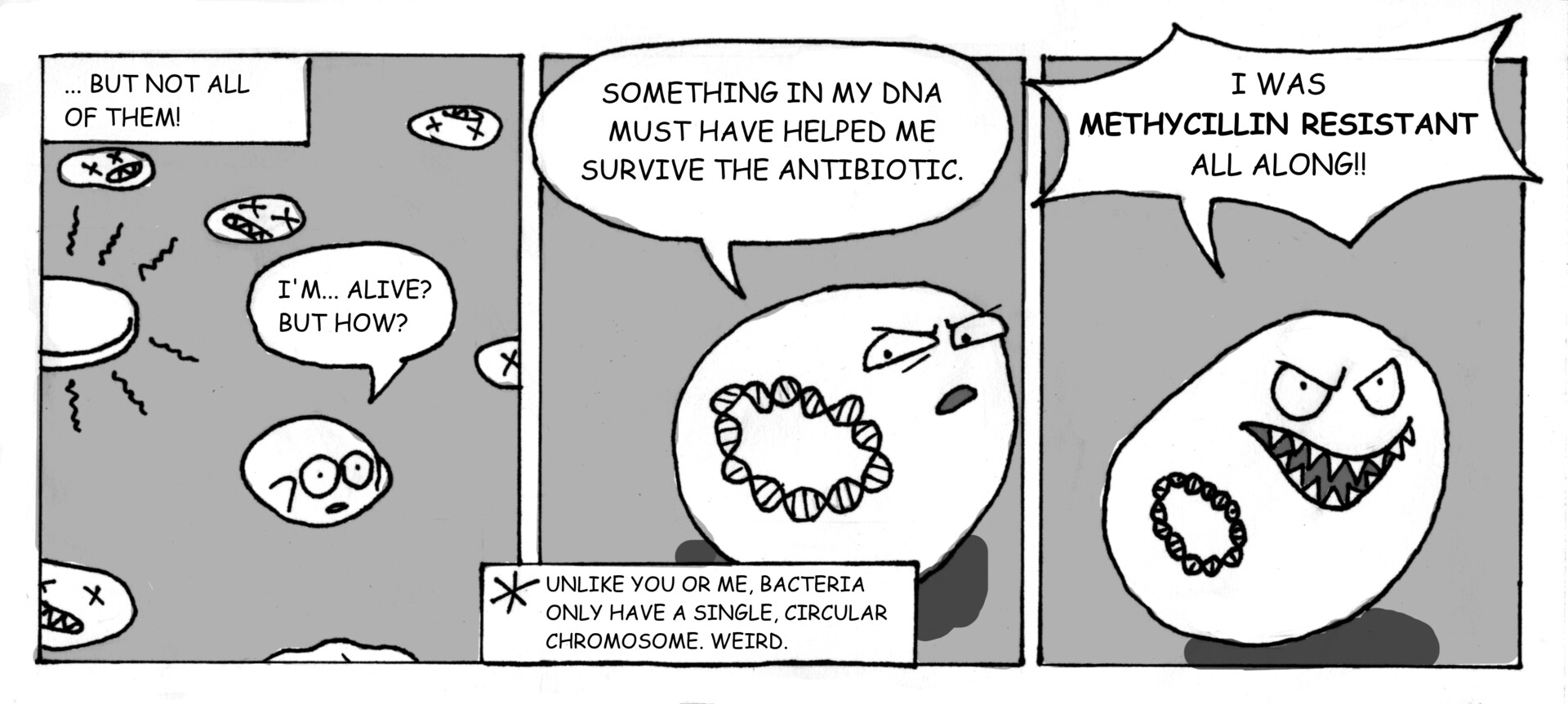 antibiotic resistant bacteria comic