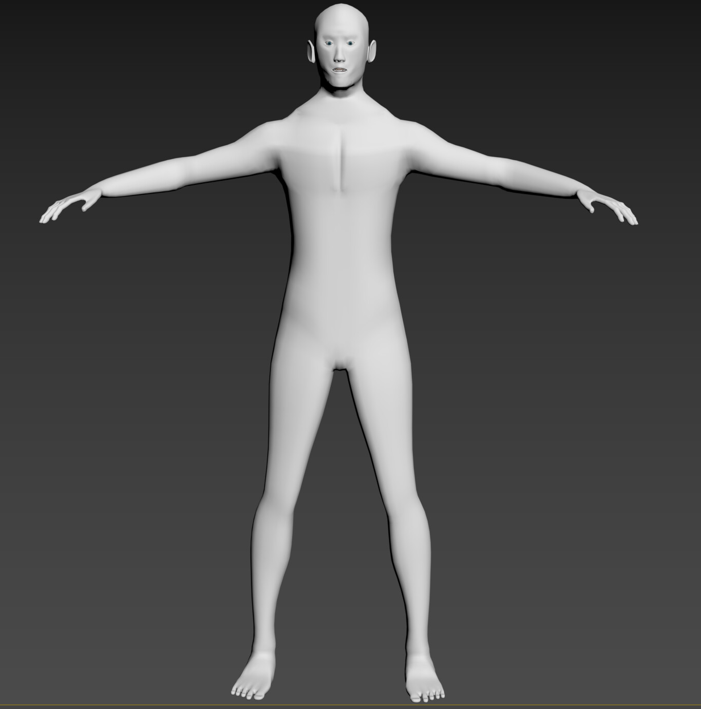 ArtStation - Human Body 3D Model