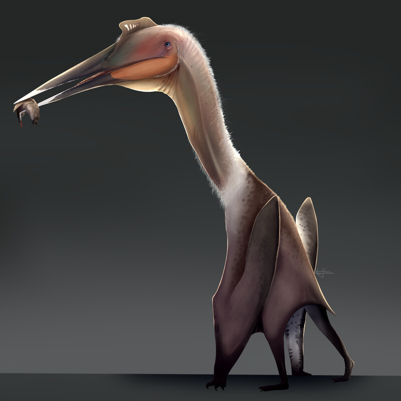 laurie-fidler-quetzalcoatlus.jpg