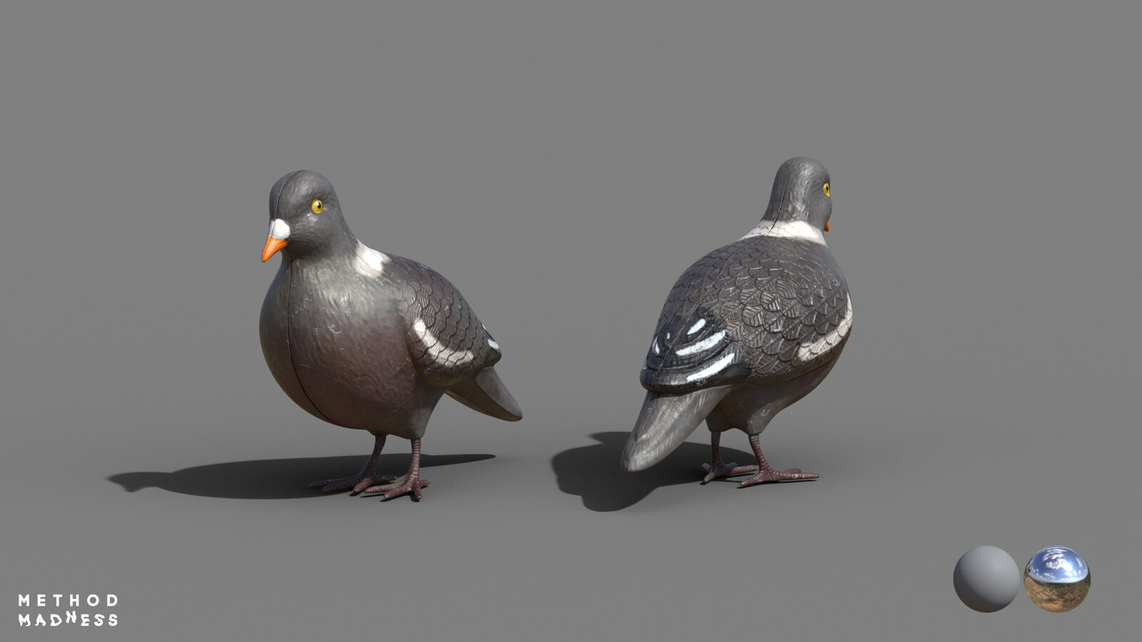Pigeon Lookdev