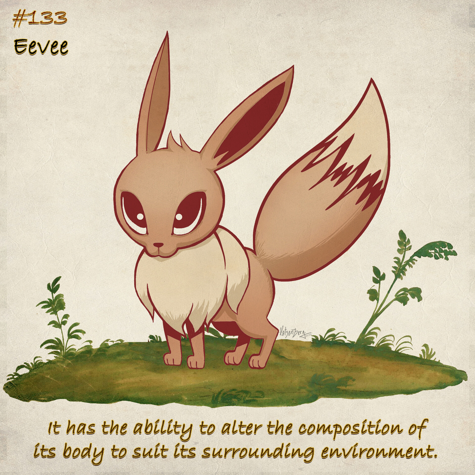 Pokemon Eevee Evolution 01 