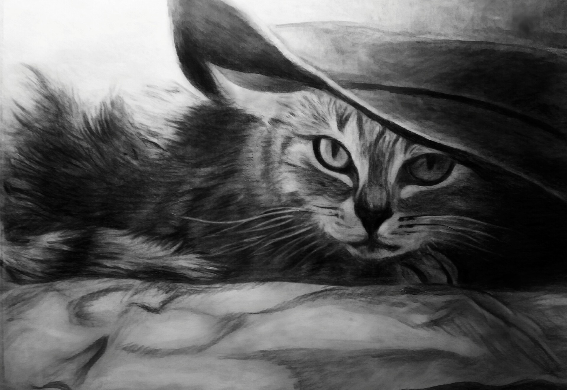 Рисунки например