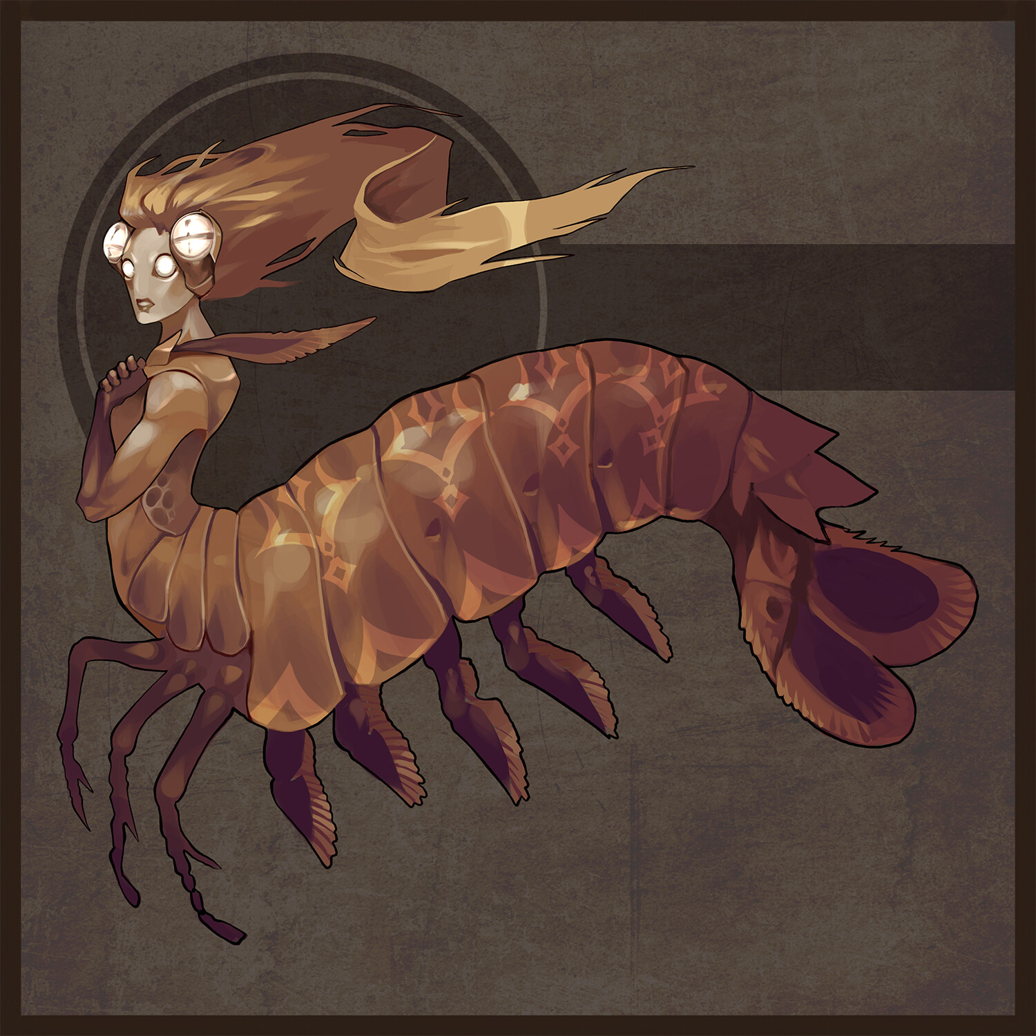 The Mantis Shrimp
