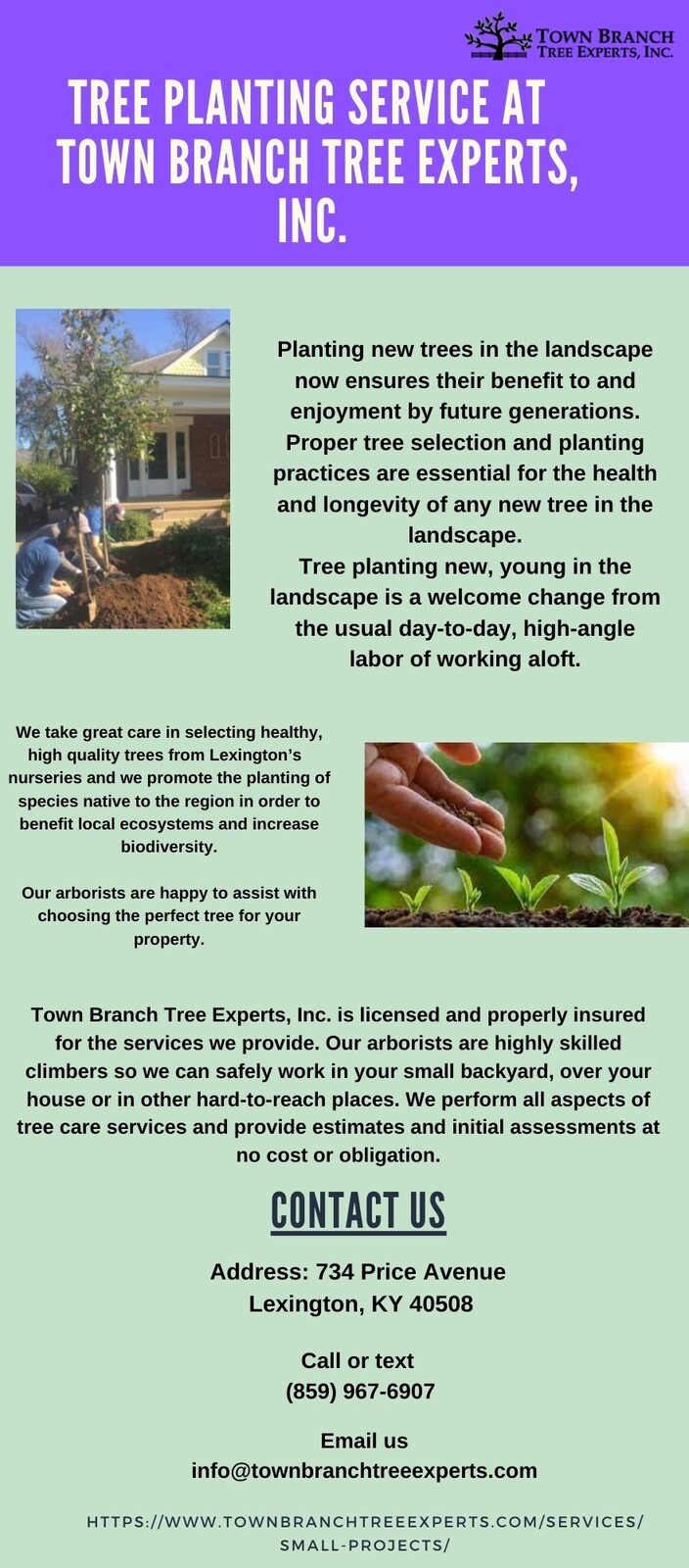 Town Branch Tree Service Tree service