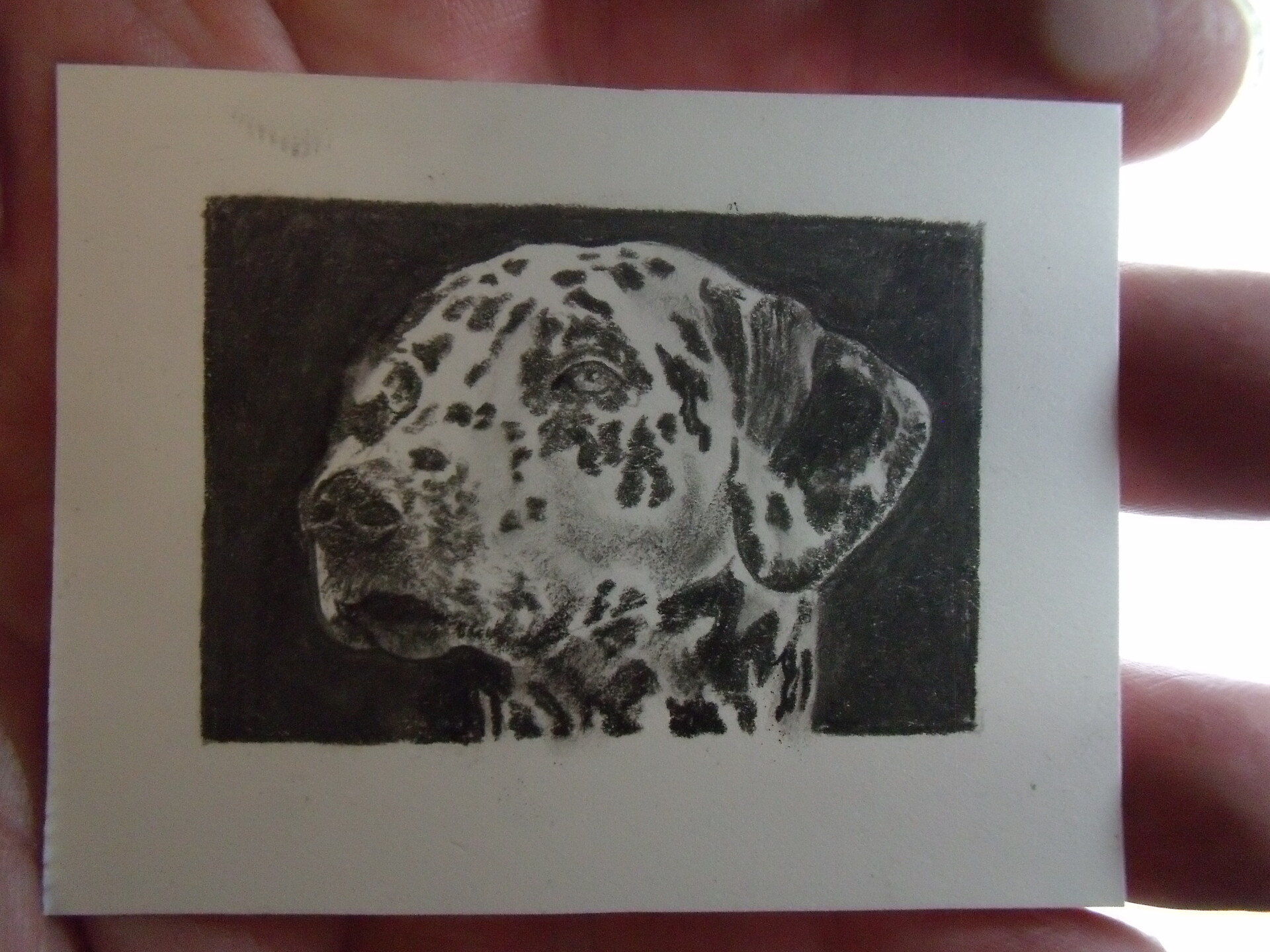 ArtStation Miniature charcoal of a dalmatian