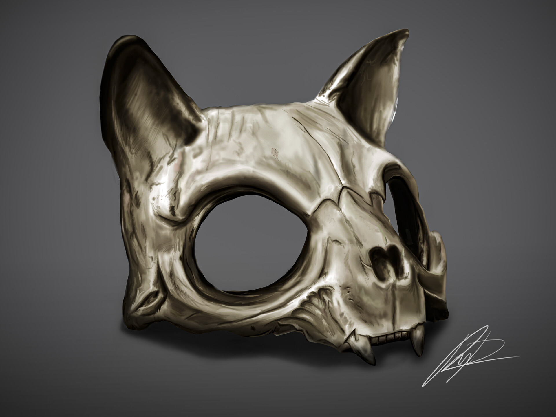 ArtStation - Cat Skull