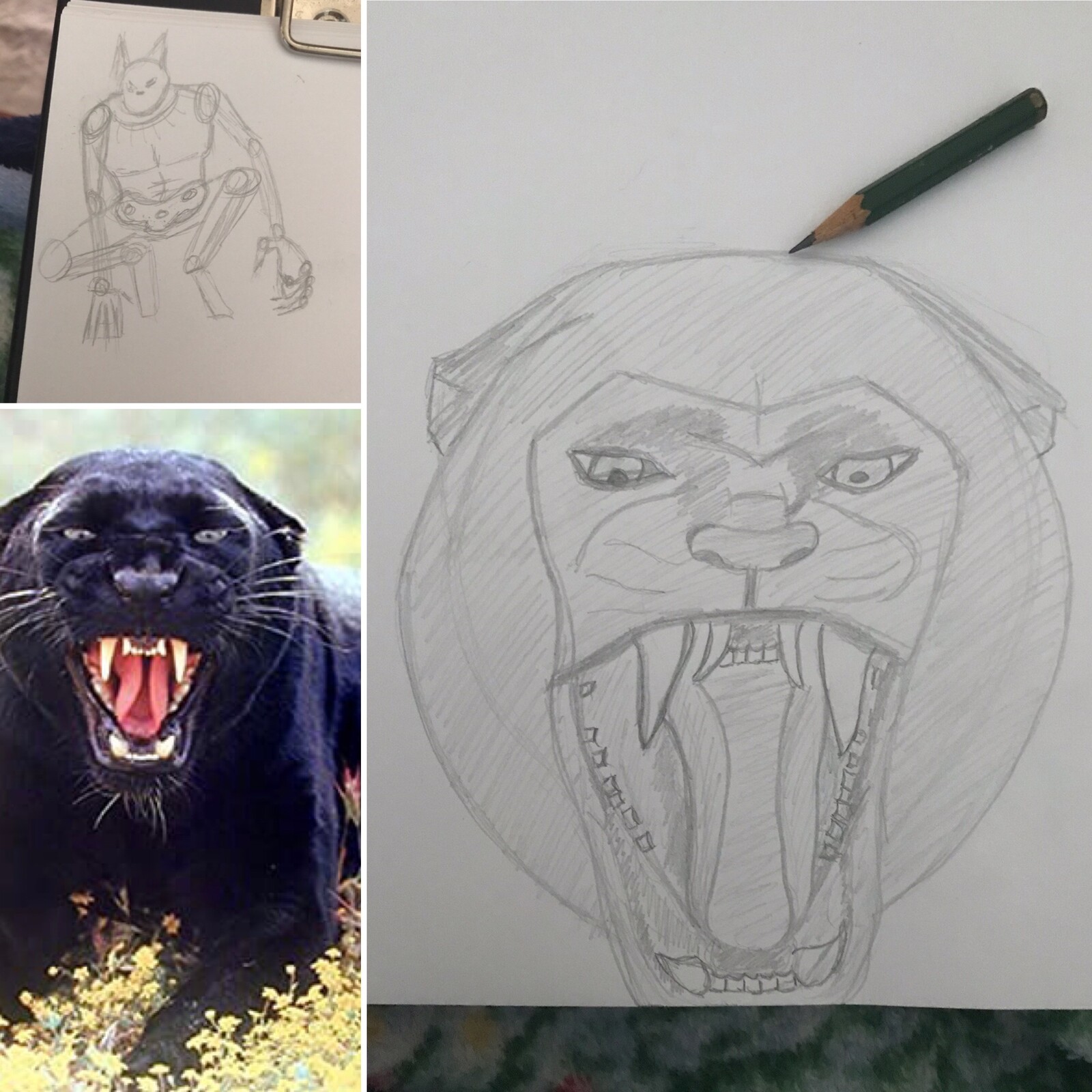First Sketch