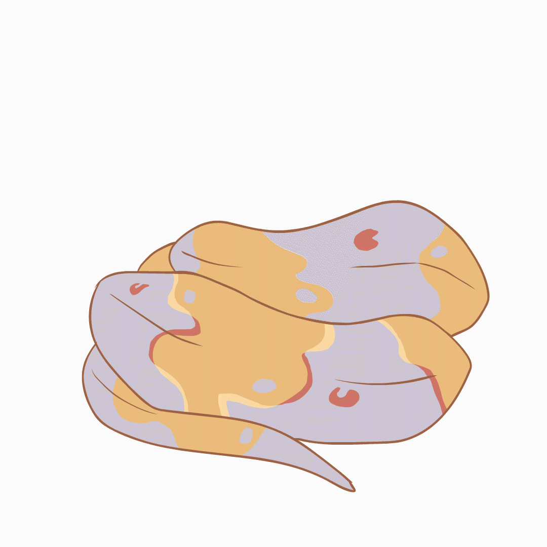 Feline Hammer - Ball Python Animation
