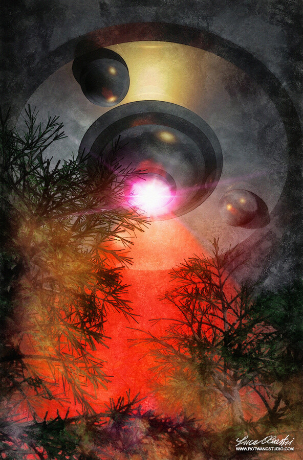 Lights on the forest