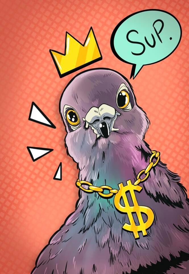 ArtStation - Pigeon swag