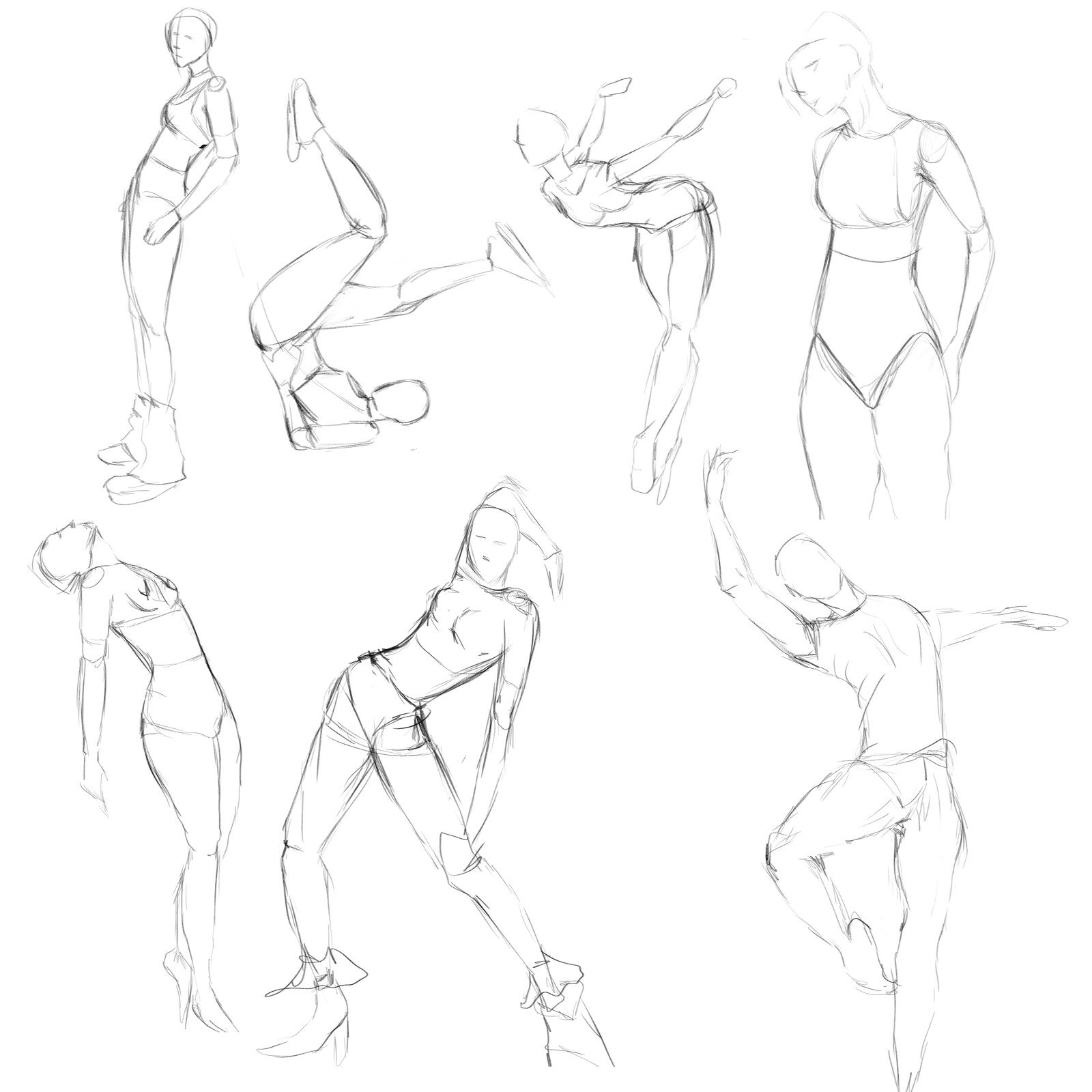 himawari Anatomy Practice