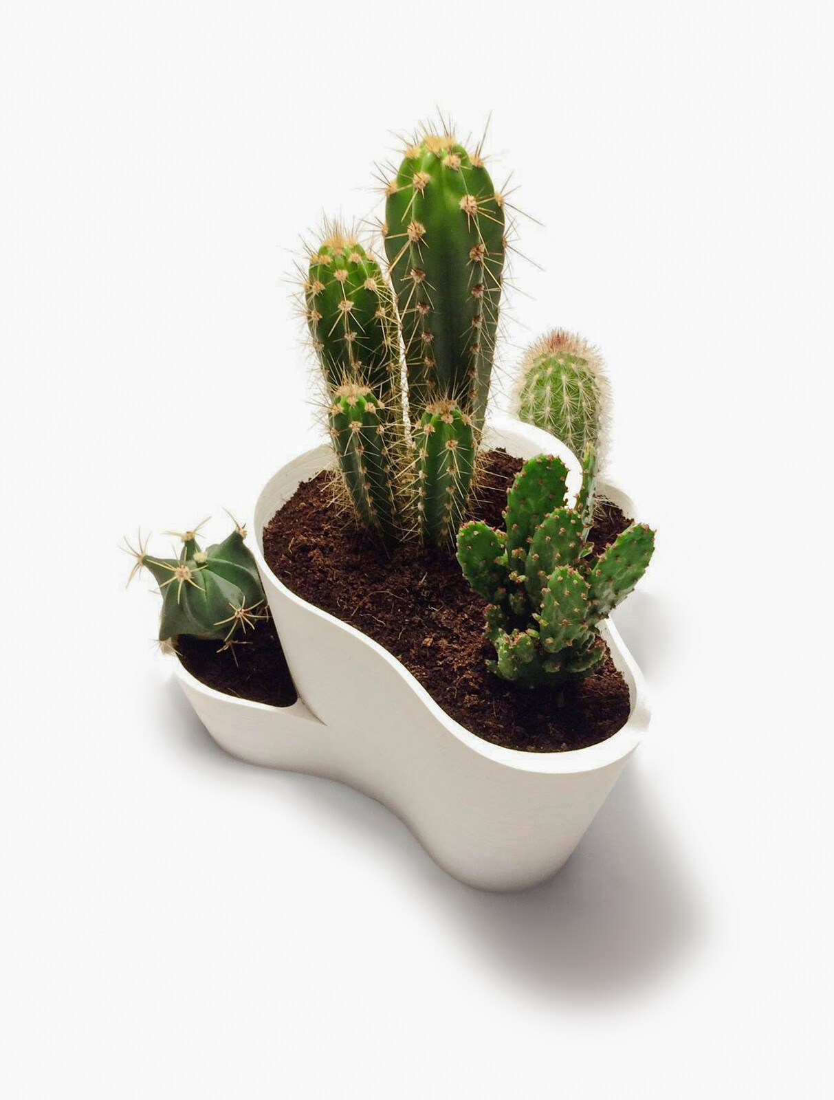 Architectural Planter - Final Product
