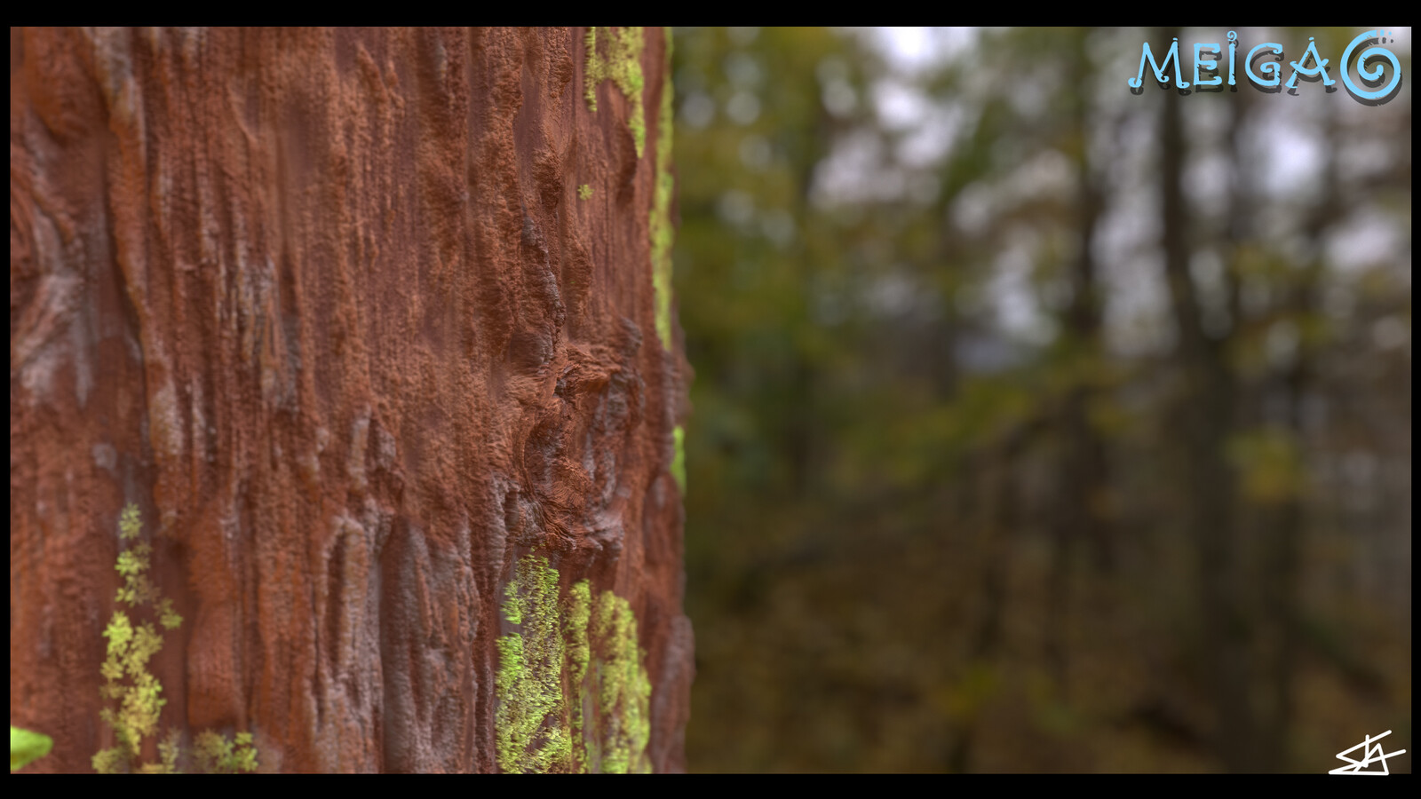 WOOD TEXTURE