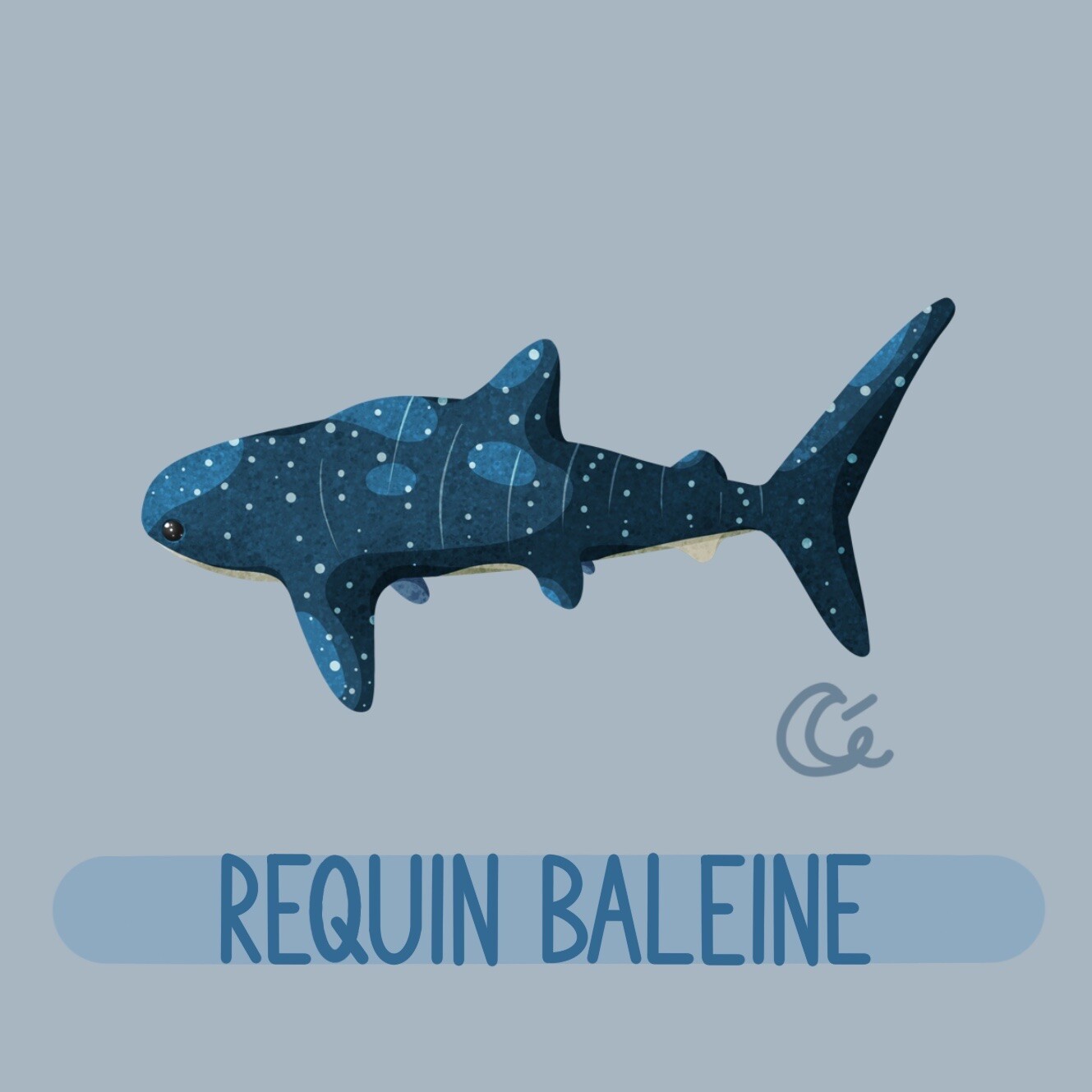 Artstation Requin Baleine Cecile Samarcq