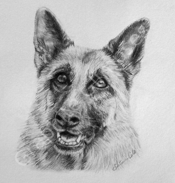 "Sass" done in graphite pencil