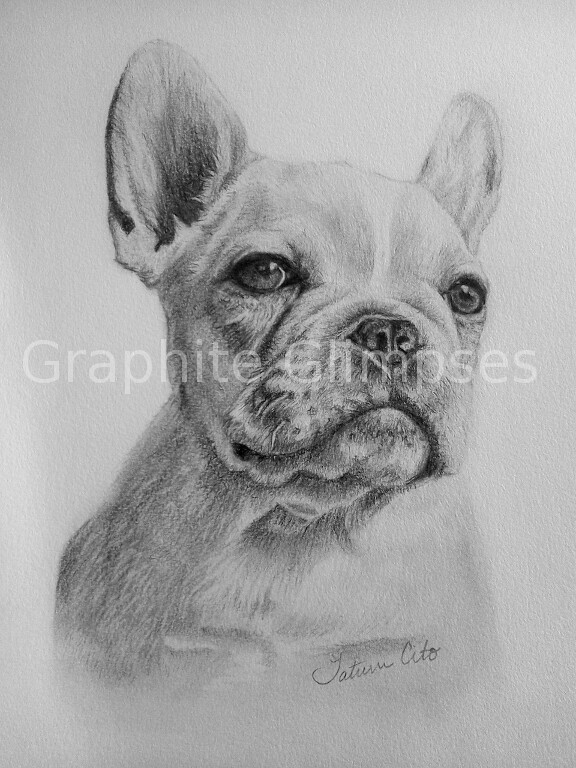 "Piper" done in graphite pencil