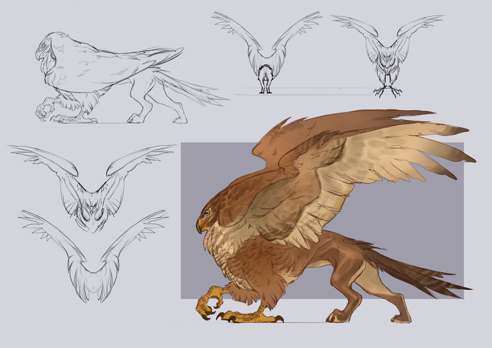 sketches June