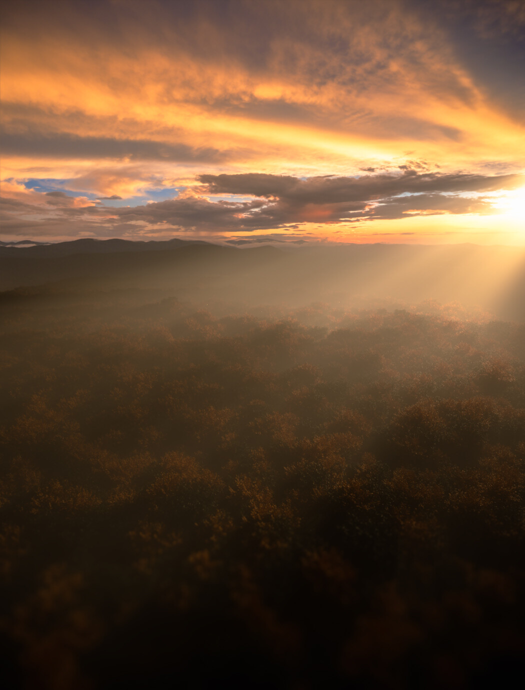 Post in photoshop to pop the colors and soften the tree texture.