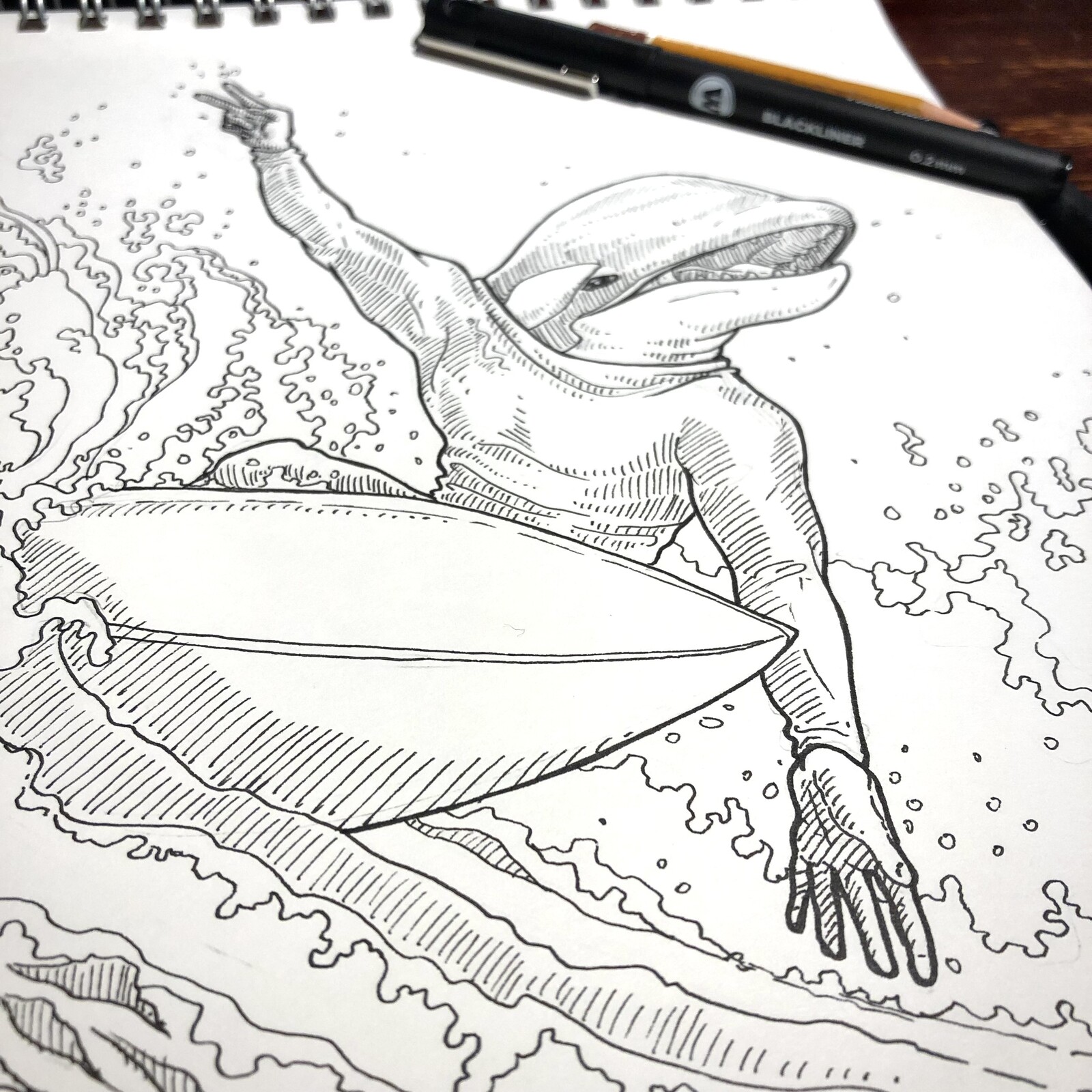 Killerwhale Surfer