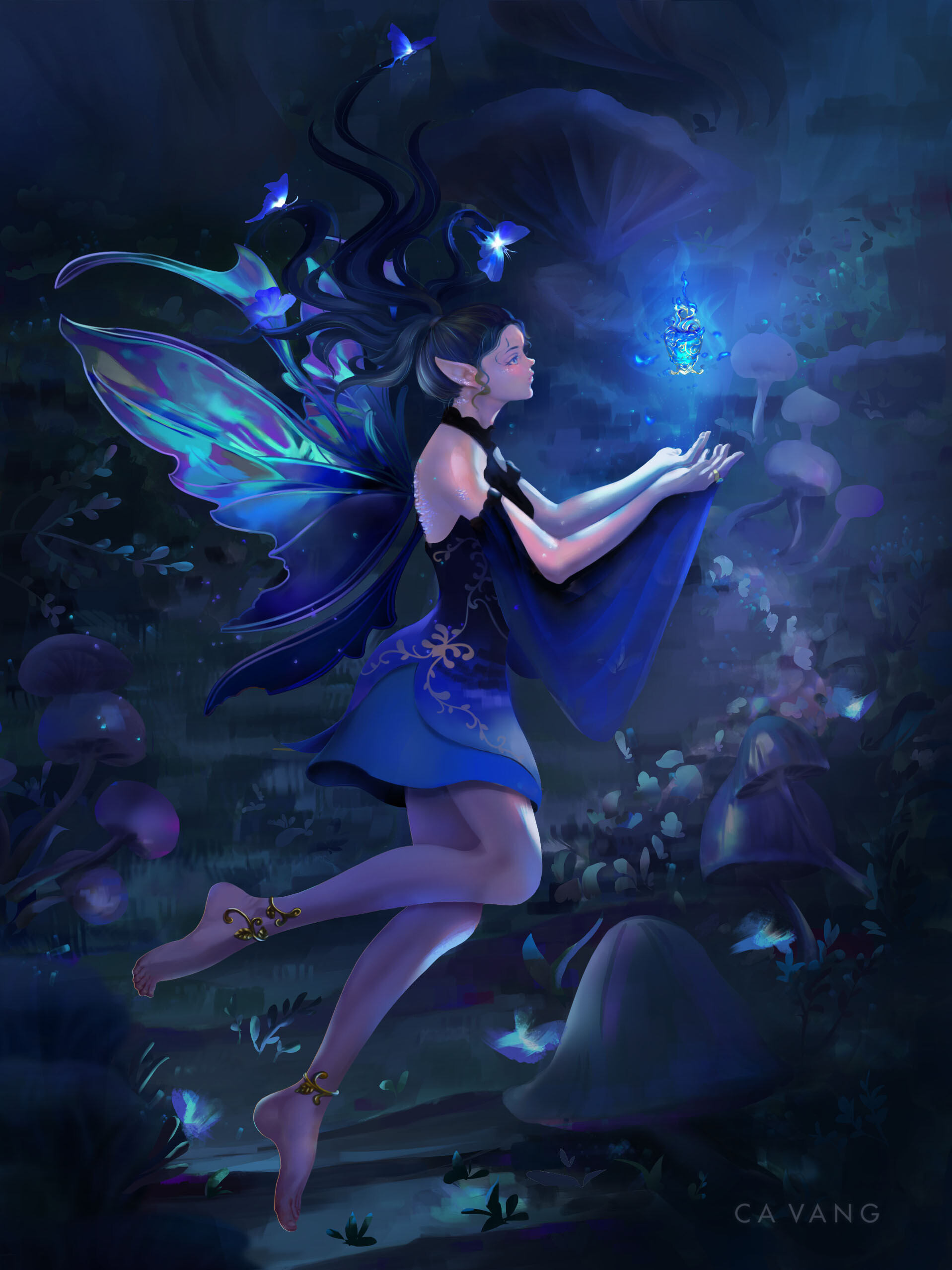 fairies in the night