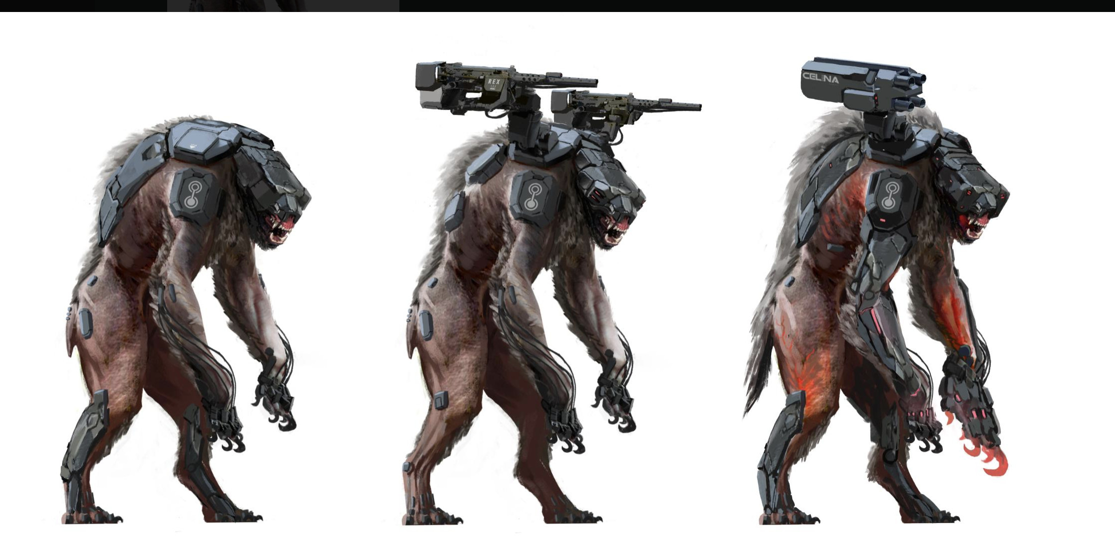 Possible equipment variations for the Z5 model