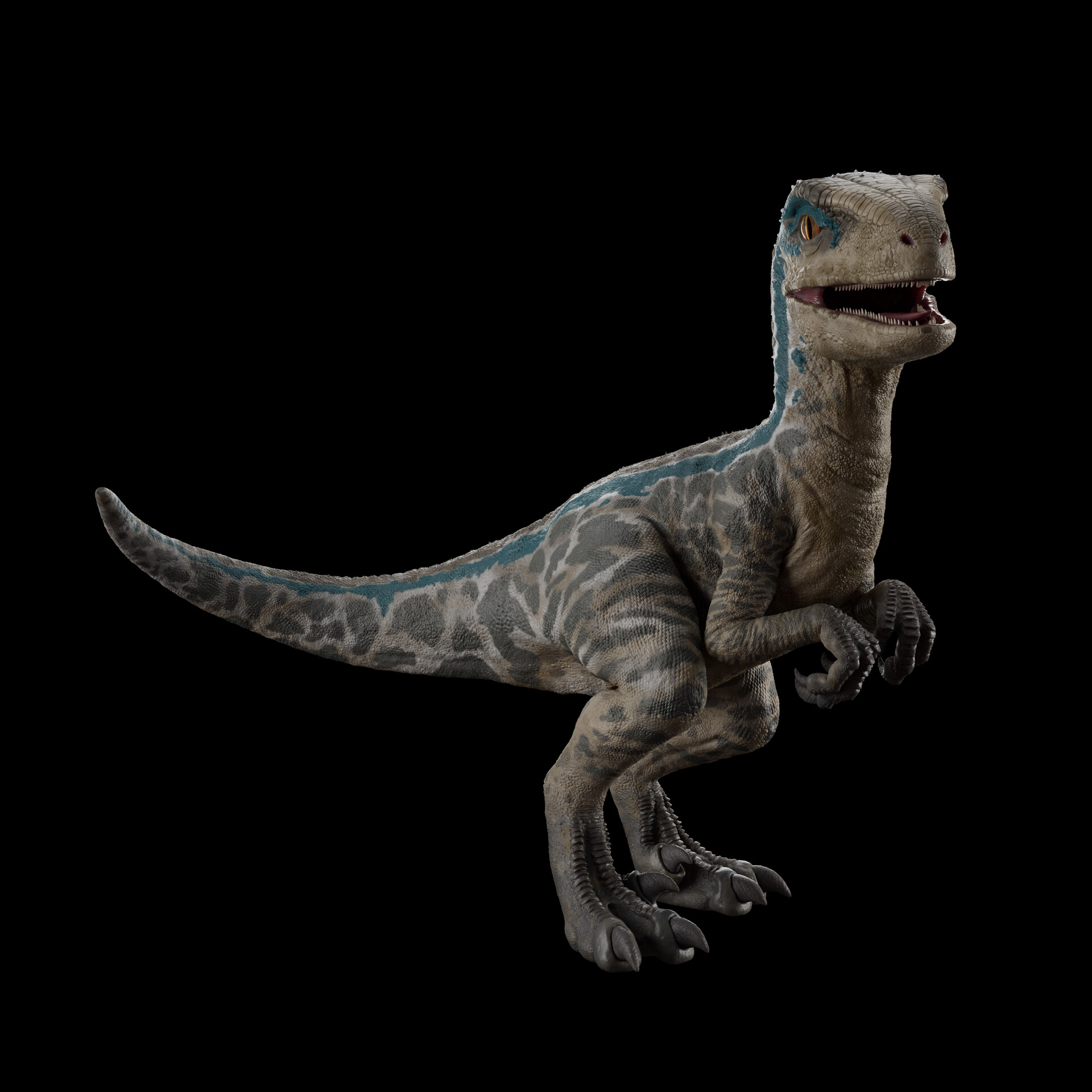Baby velociraptor shop