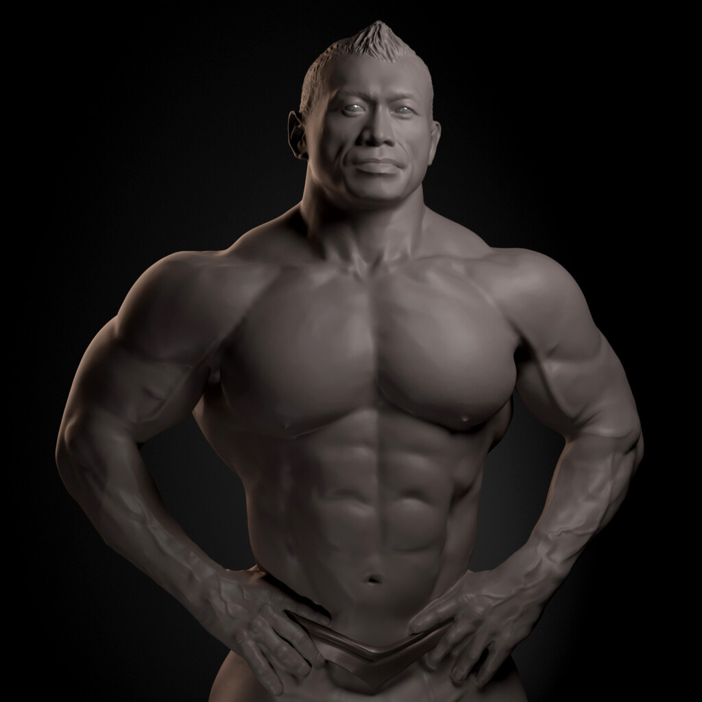 Male Bodybuilder Anatomy 2