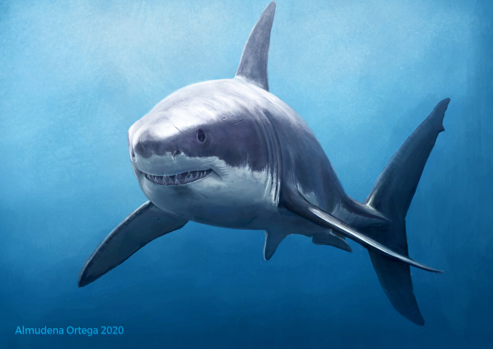 ArtStation - Great White Shark painting process