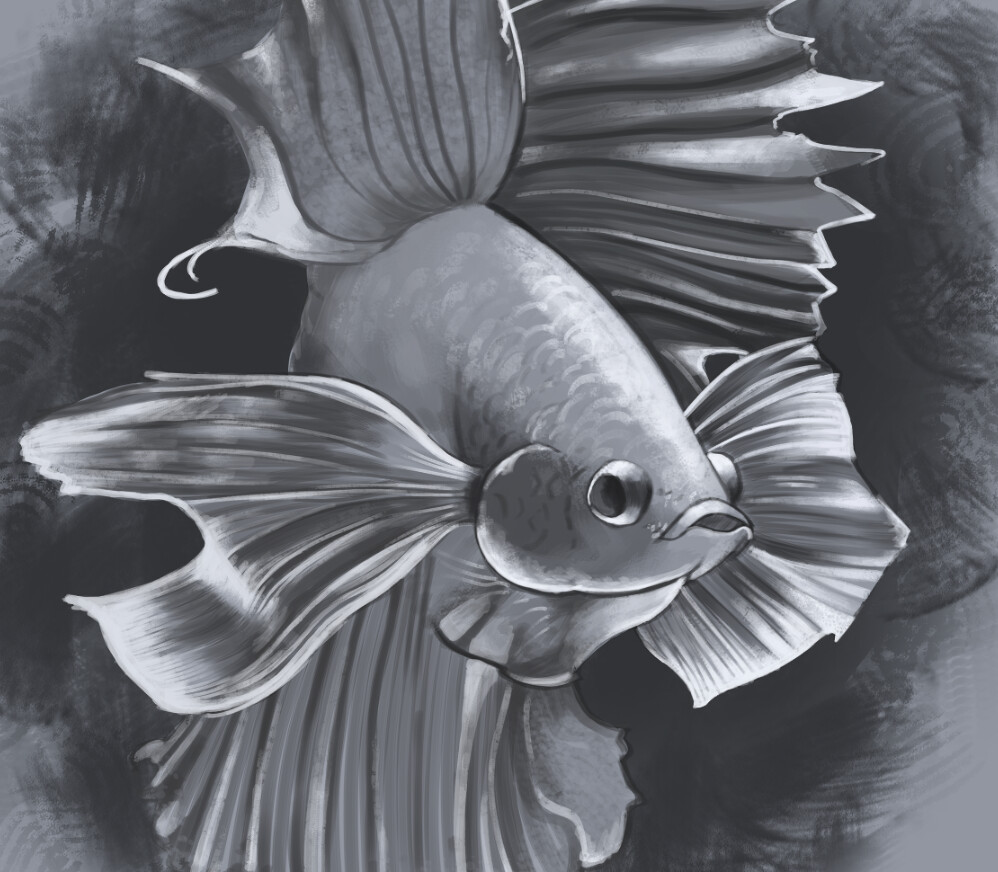 Crowntail Betta Fish, an art print by Ricardo González - INPRNT