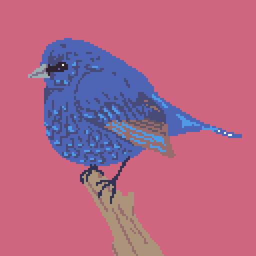 ArtStation - cuteness bird