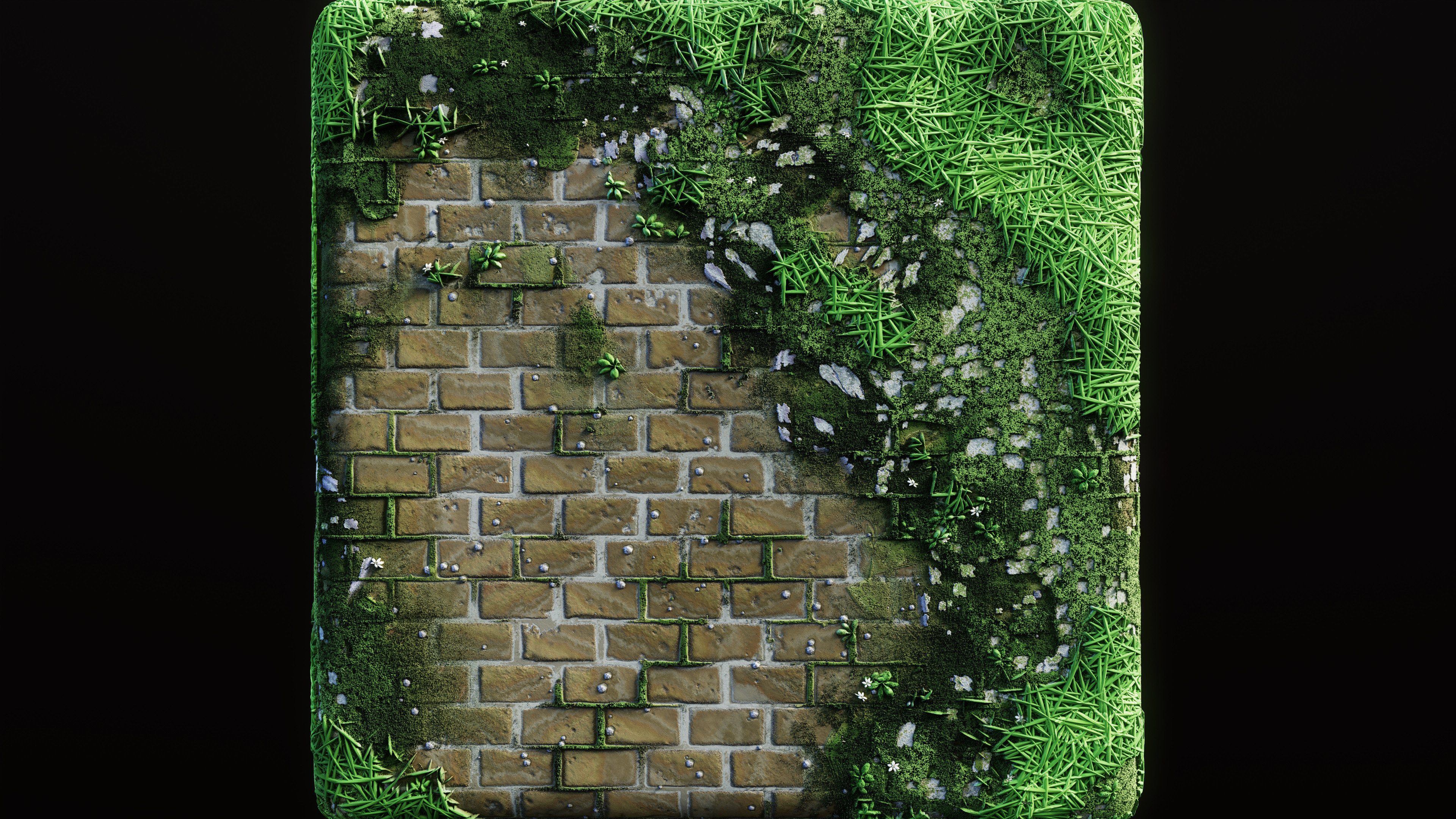 Beauty Render 00