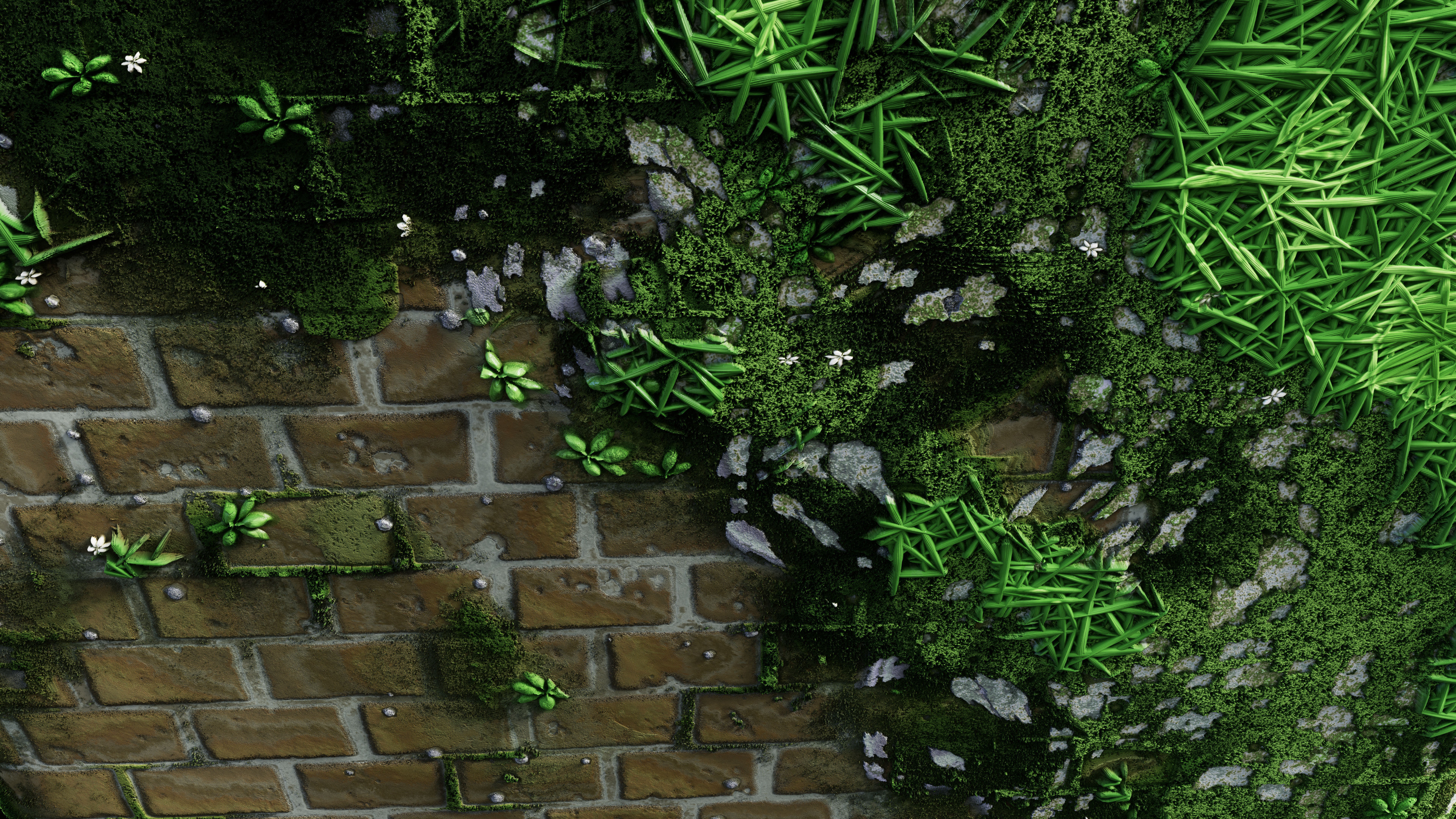 Beauty Render 02