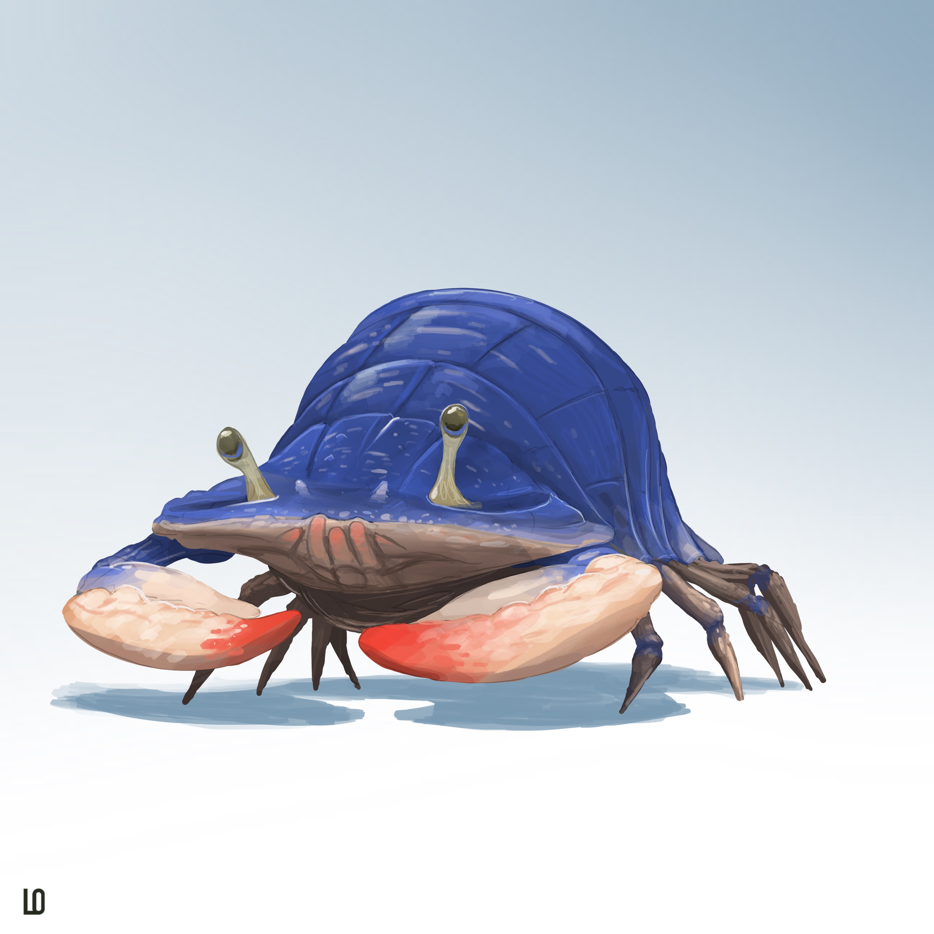 The cochineal-crab