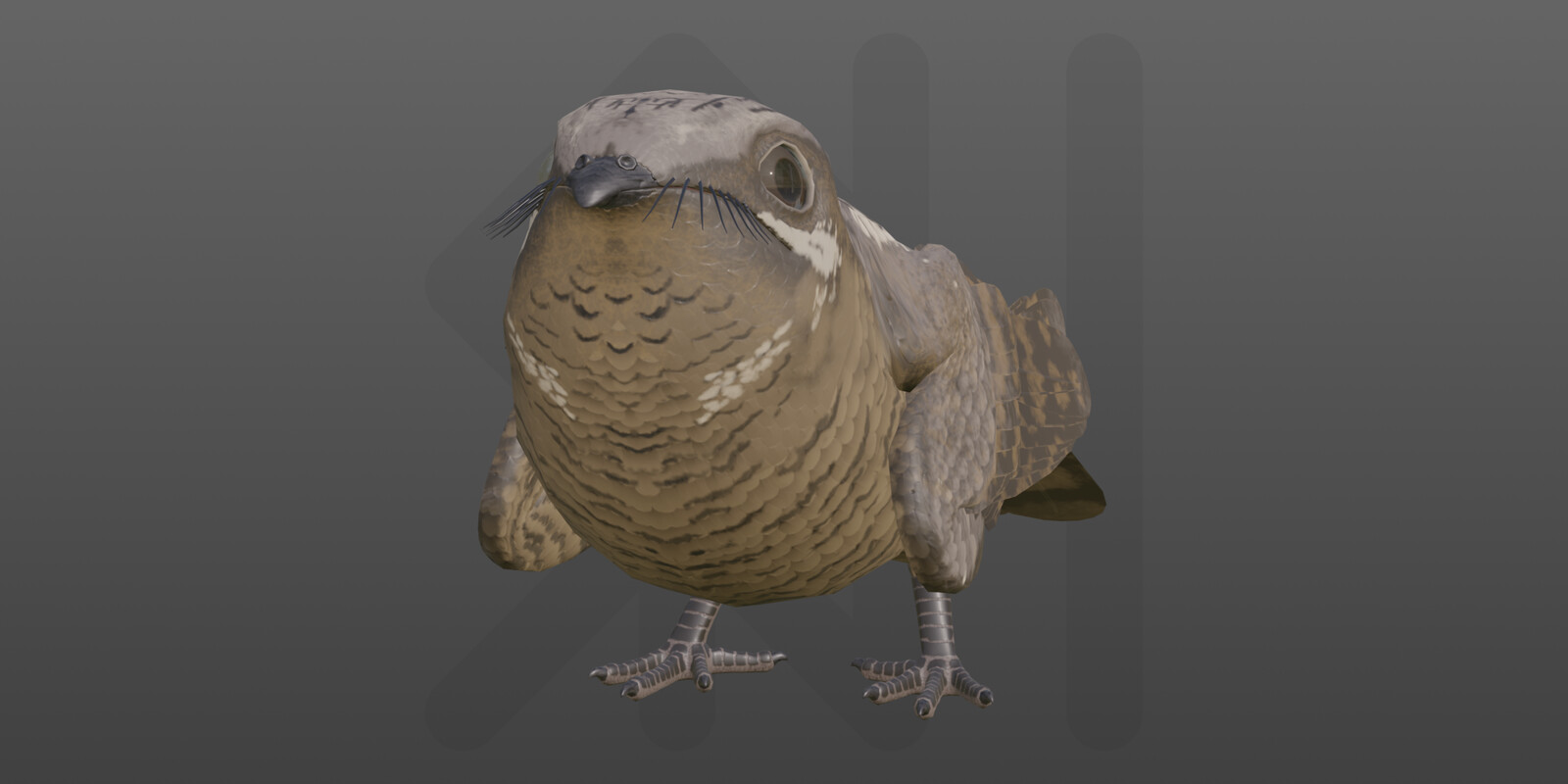 European Nightjar | 2021