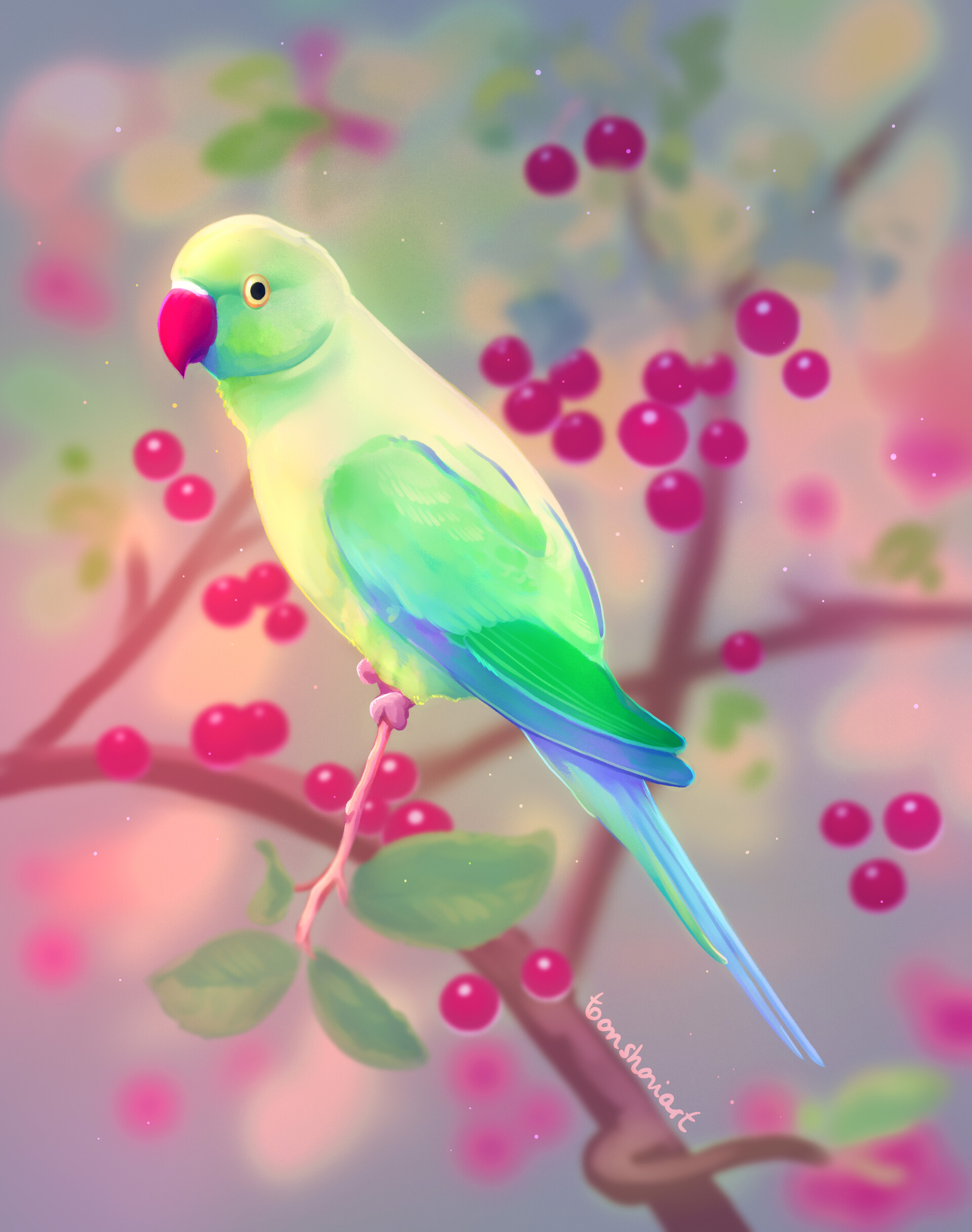 ArtStation - Ring-Necked Parakeet Study