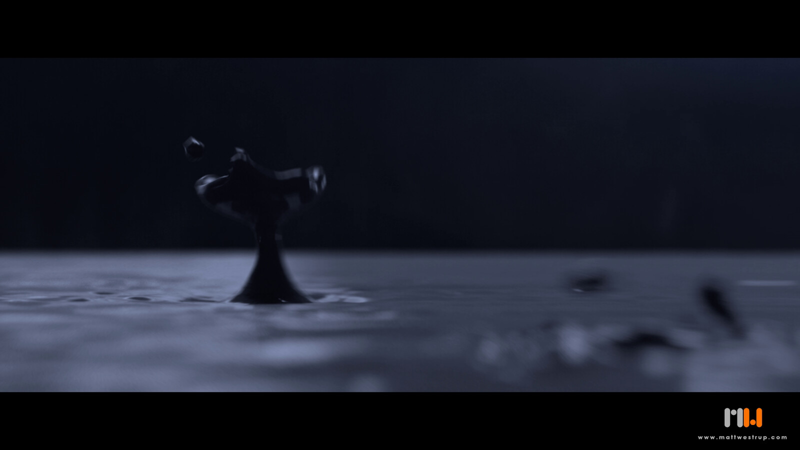 Role: Modelling, Texturing, Lighting, Fluid Simulation, Animation, Compositing.