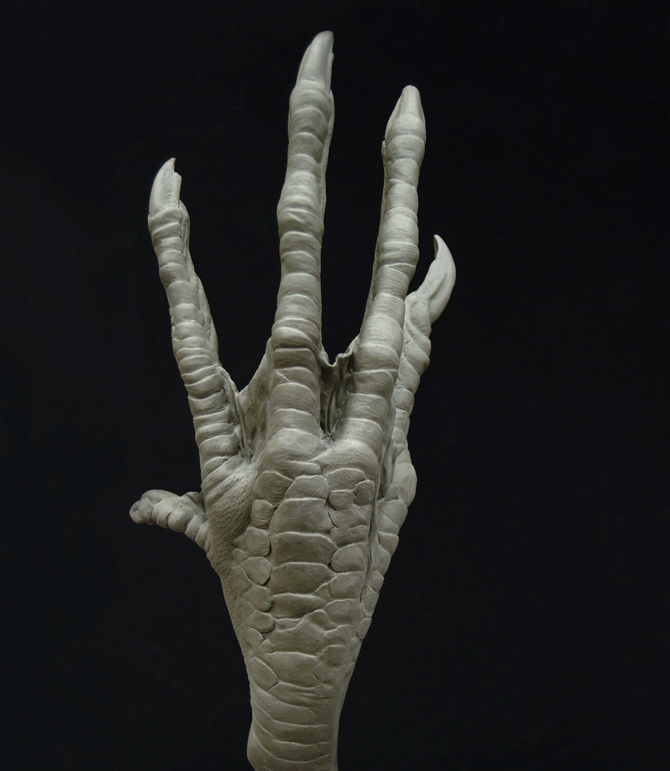Dark Shadows  (2011) / Bird Witch Hand Sculpt