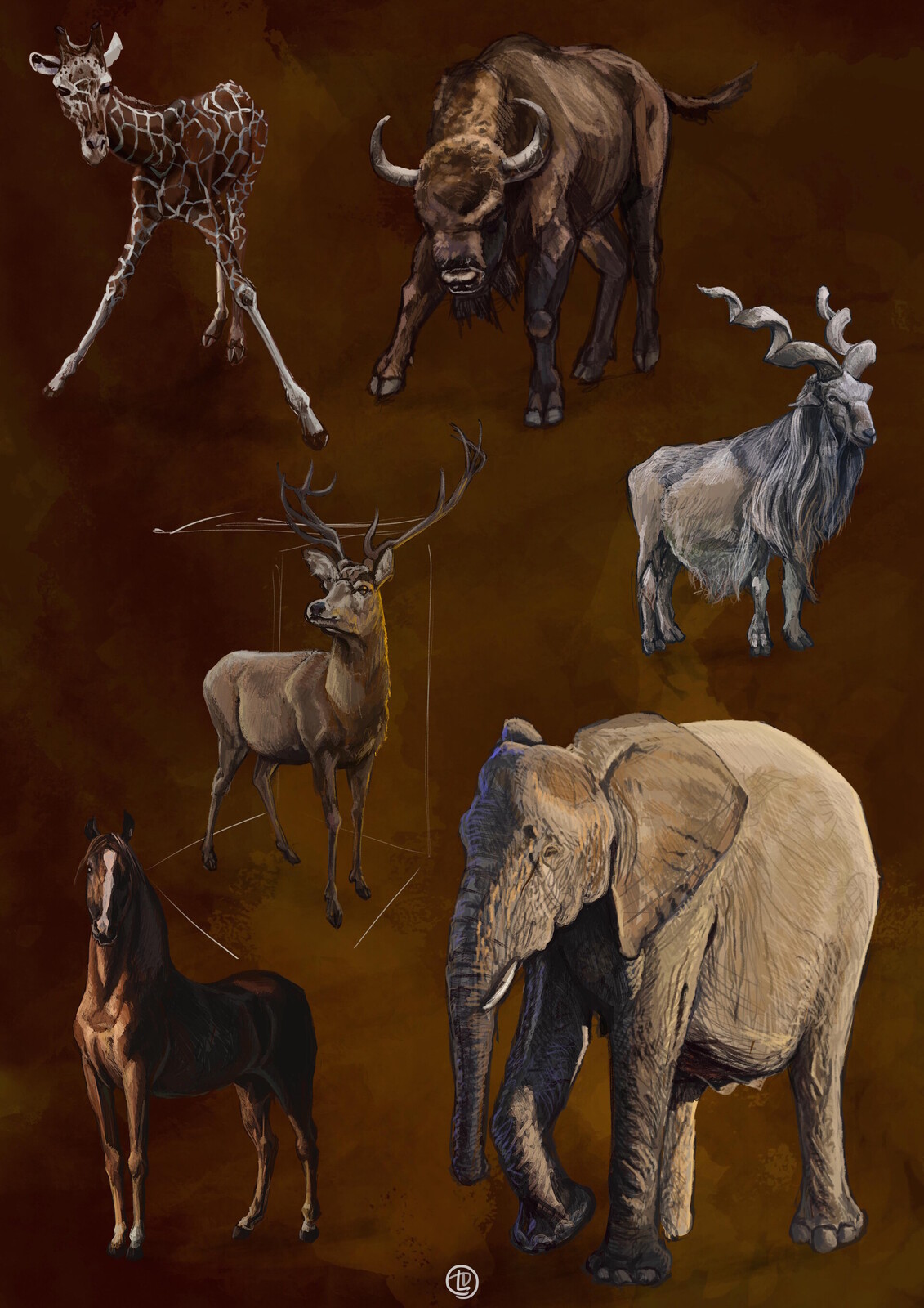 Mammal ungulates